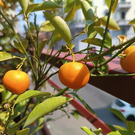 Lillo'S Home 米兰 外观 照片